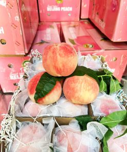 Đào tuyết Lệ Giang (1Kg)