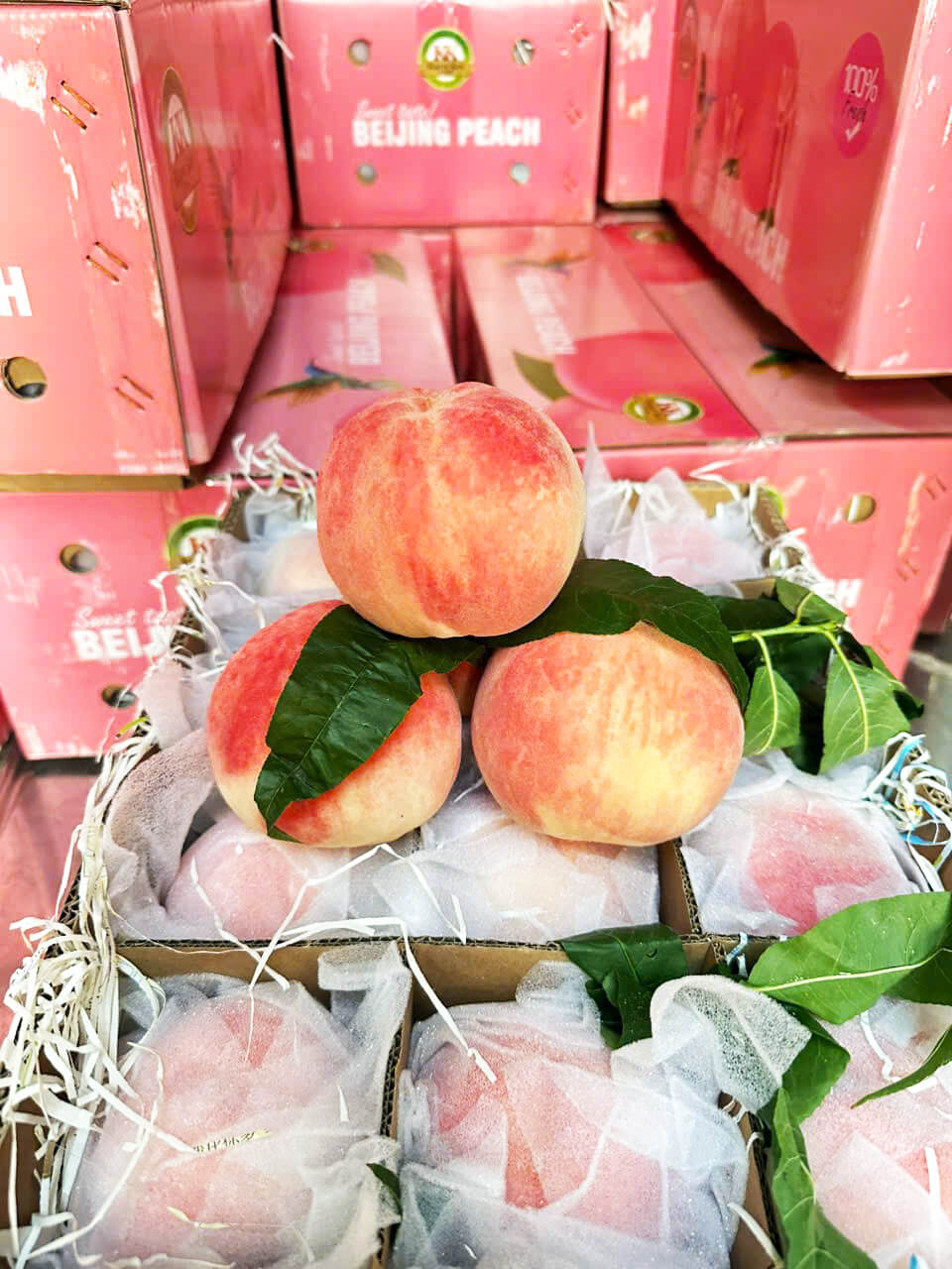 Đào tuyết Lệ Giang (1Kg)