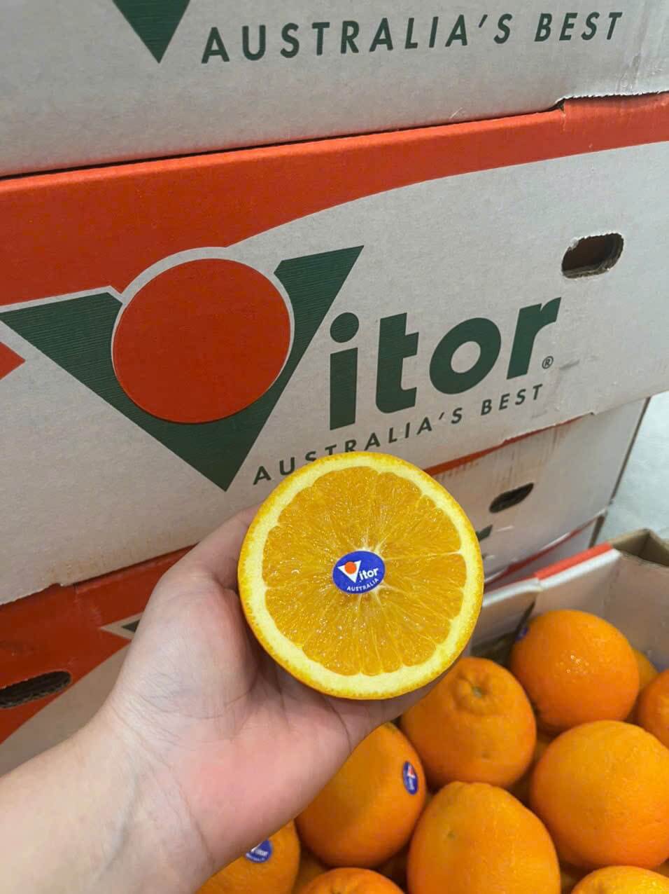 Cam Vàng Úc Vitor (1Kg) - Ảnh 3