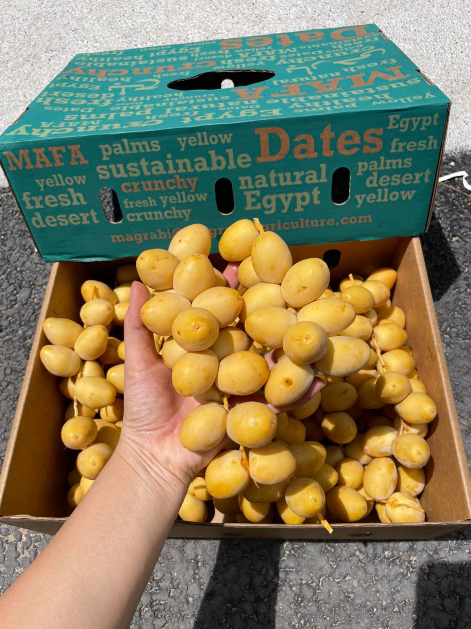 Chà là tươi nguyên cành (1Kg) - Ảnh 3
