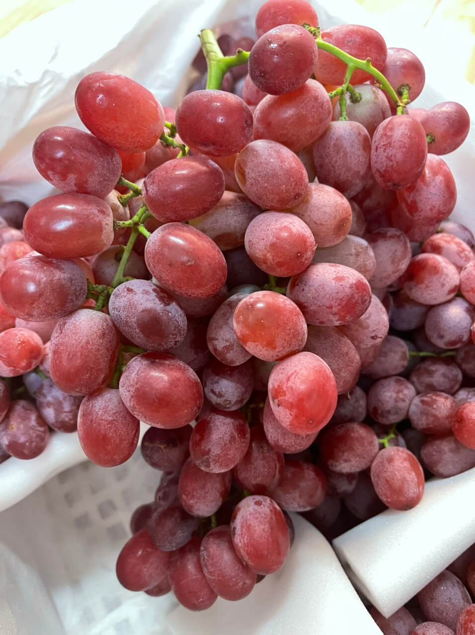 Nho đỏ không hạt Mỹ (1Kg) - Ảnh 3