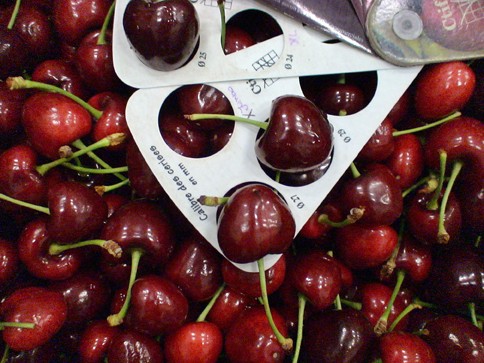 Cherry Úc Nhập khẩu (1Kg) - Ảnh 2