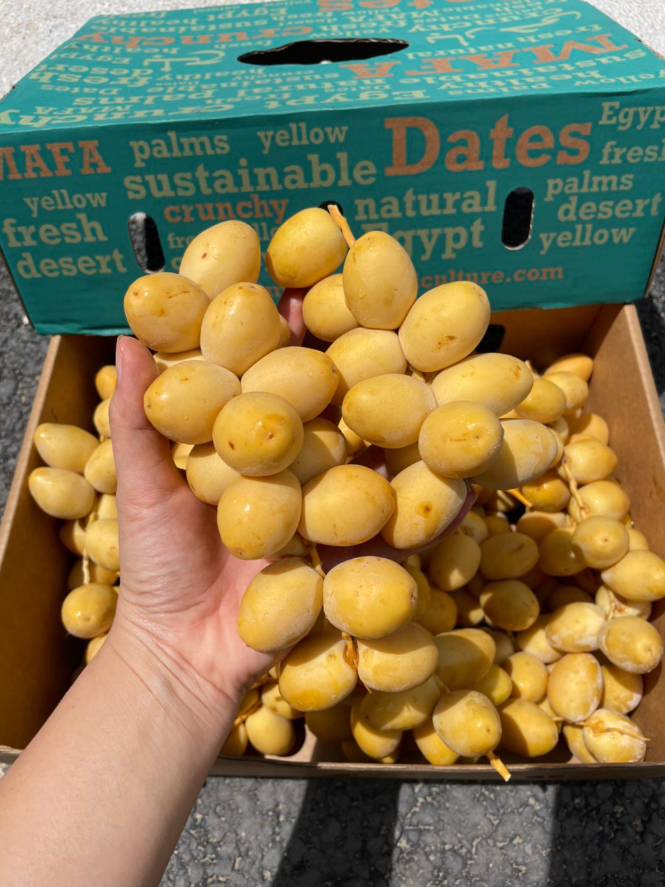 Chà là tươi nguyên cành (1Kg)