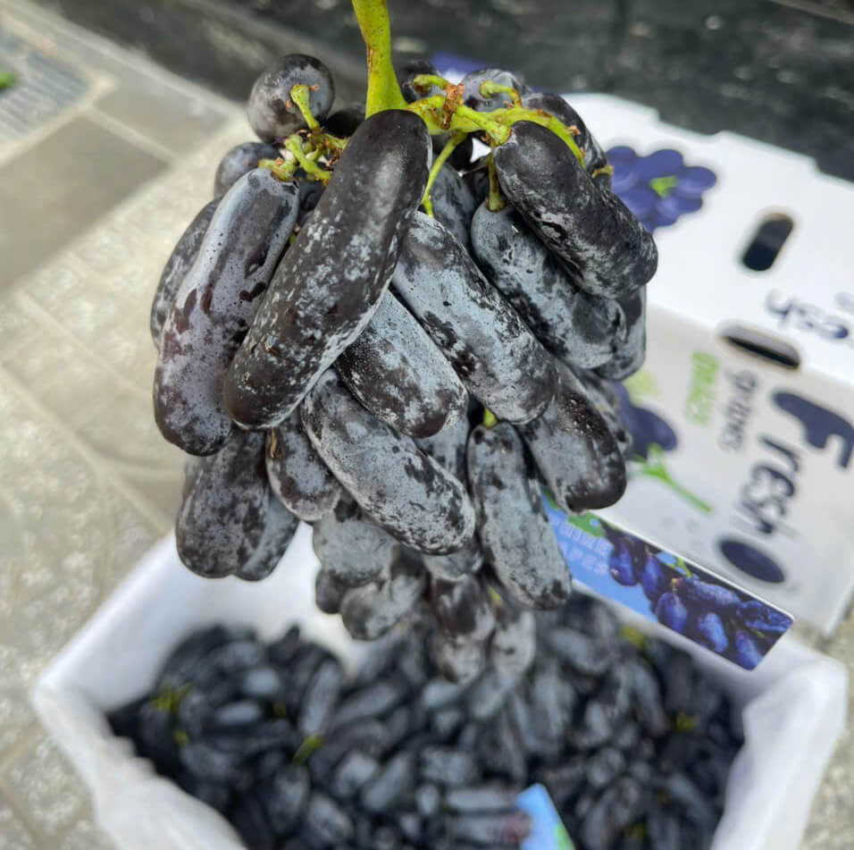 Nho Ngón Tay Nam Phi (1Kg) - Ảnh 3