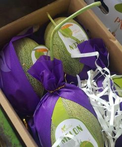 Alternative view of Dưa Lưới Đài Loan (1Kg)