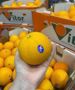 Cam Vàng Úc Vitor (1Kg)