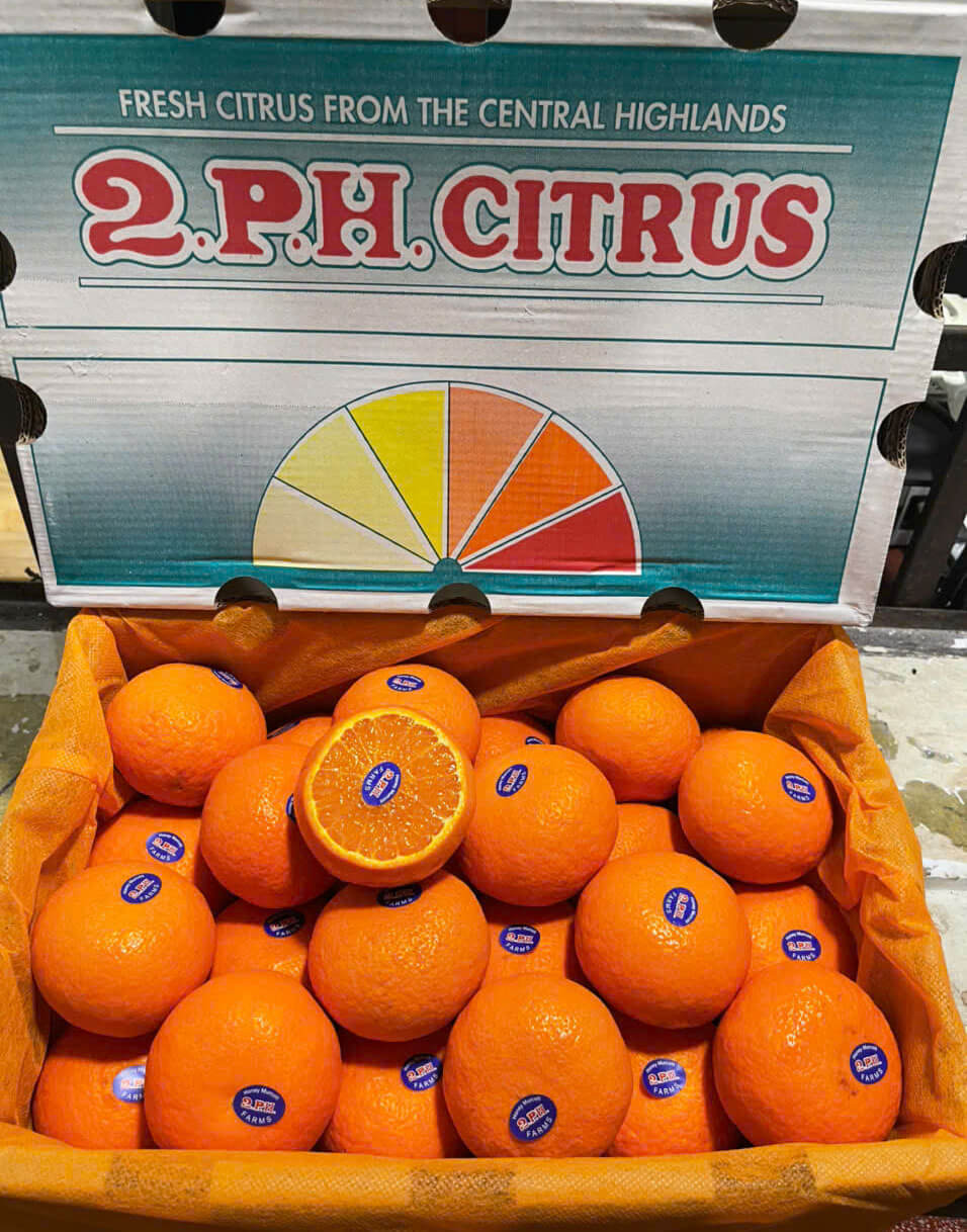 Quýt Úc 2PH (1Kg) - Ảnh 4