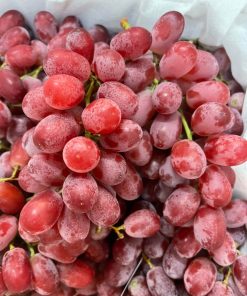 Nho đỏ không hạt Mỹ (1Kg)