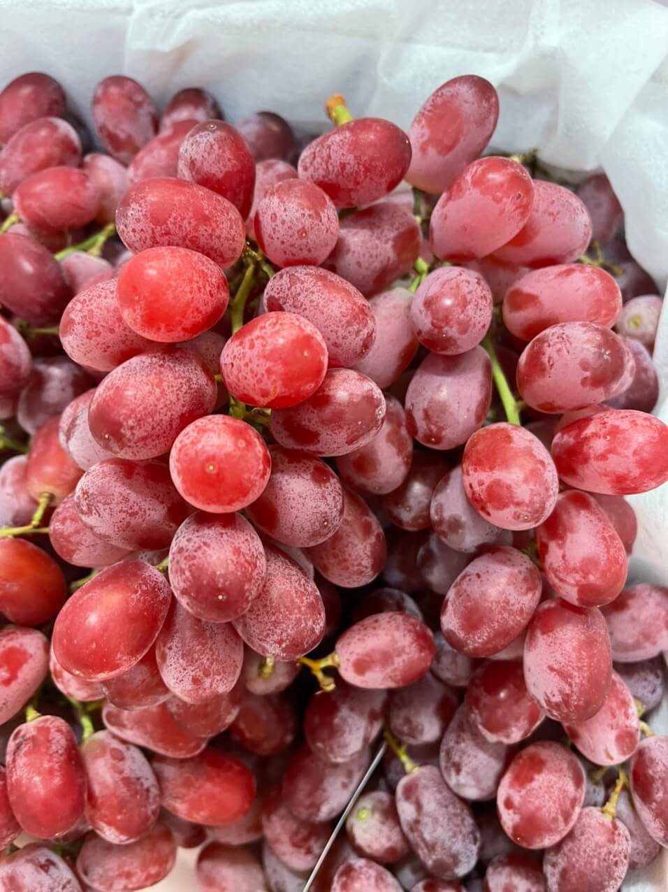 Nho đỏ không hạt Mỹ (1Kg)