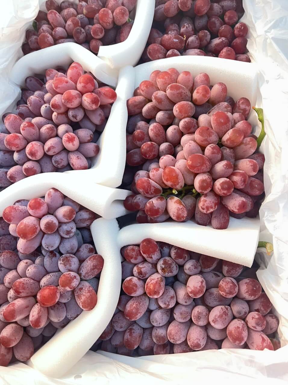 Nho đỏ Long Crimson (1Kg) - Ảnh 2