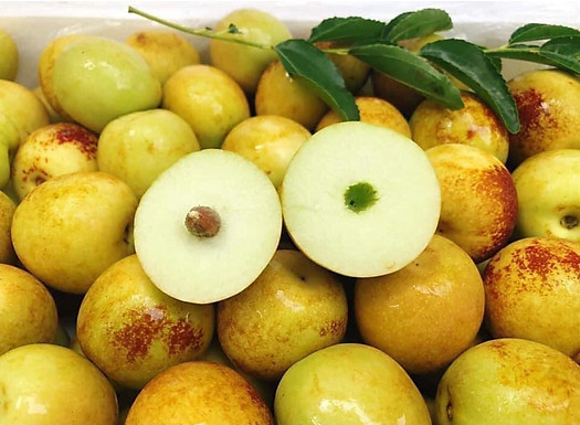 Táo Tàu Tươi (1Kg) - Ảnh 6