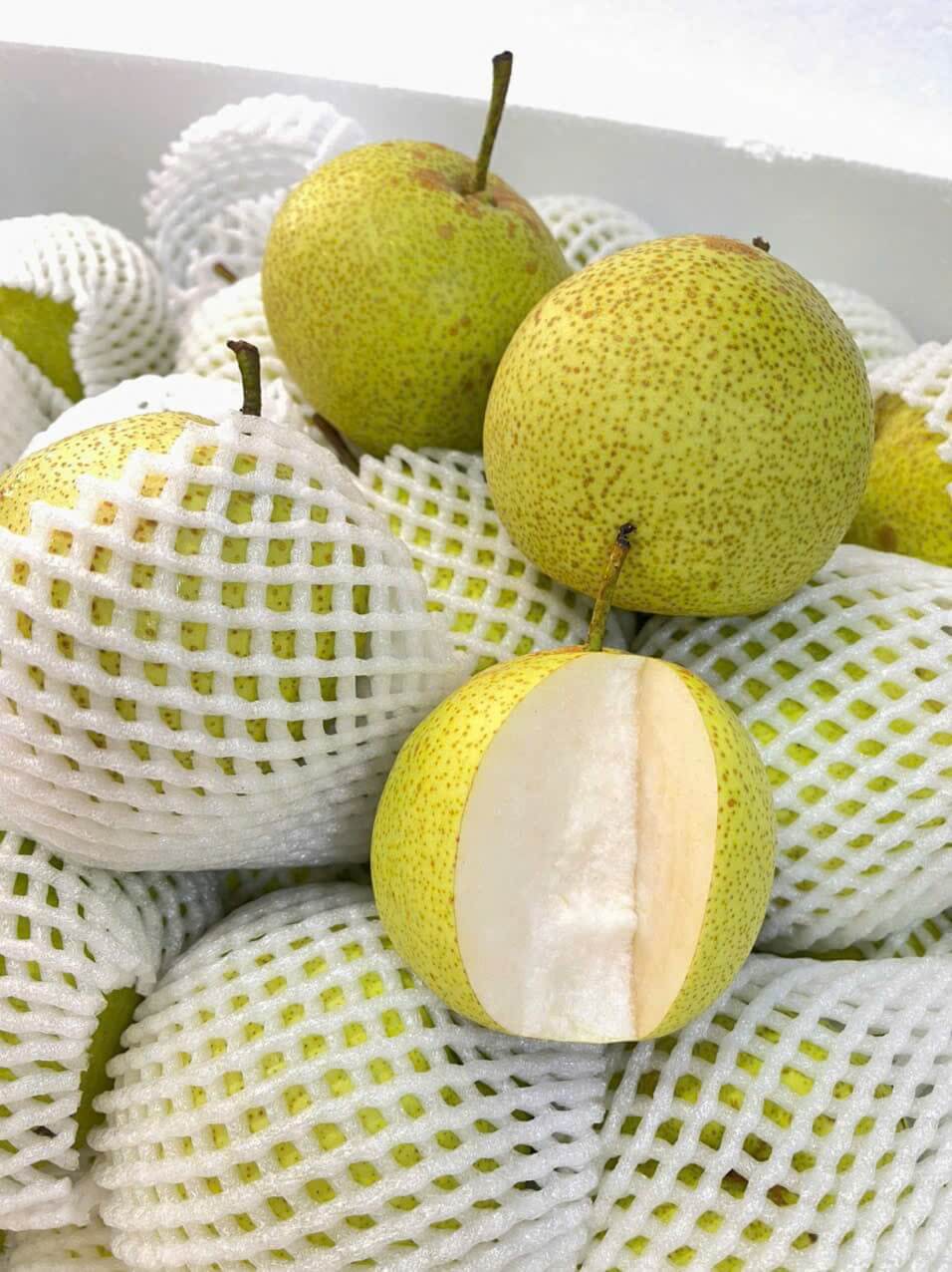 Lê Hà Giang (1Kg) - Ảnh 2