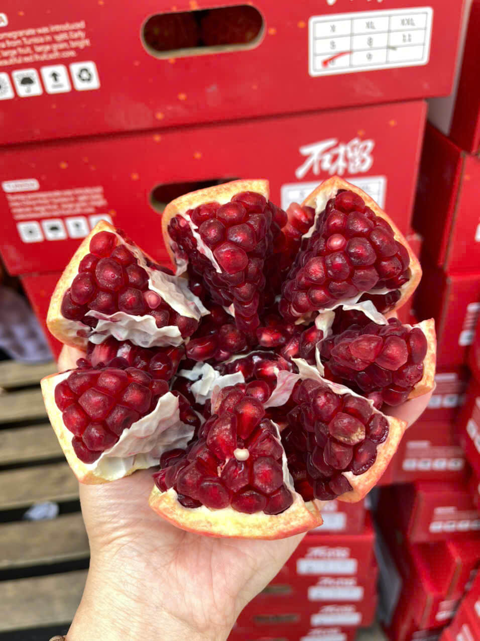 Lựu đỏ Tunisia S6 (1Kg)