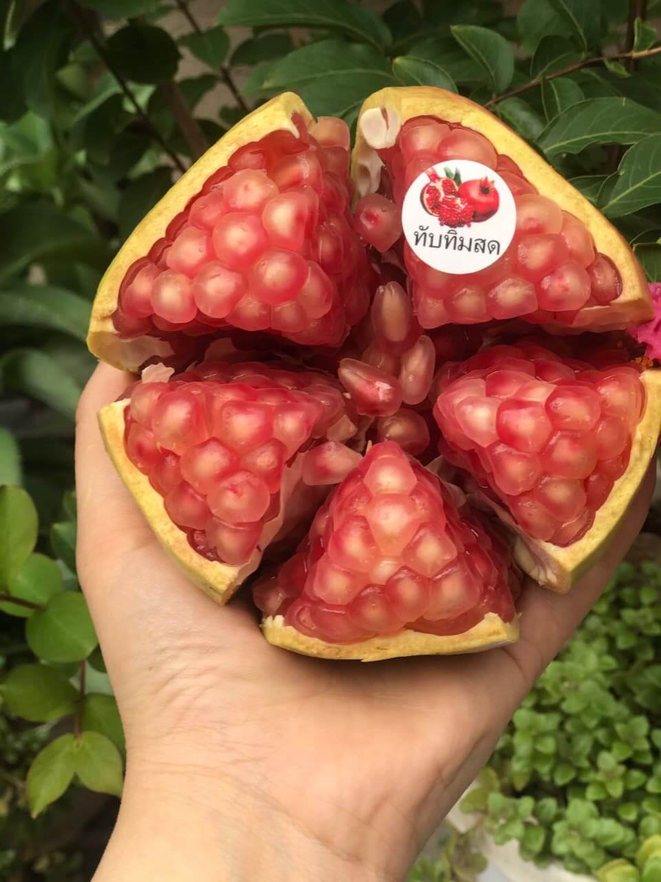 Lựu Thái Lan (1Kg)