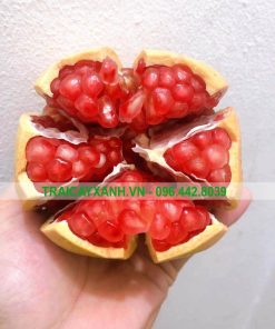 Alternative view of Lựu Đỏ Đài Loan (1Kg)