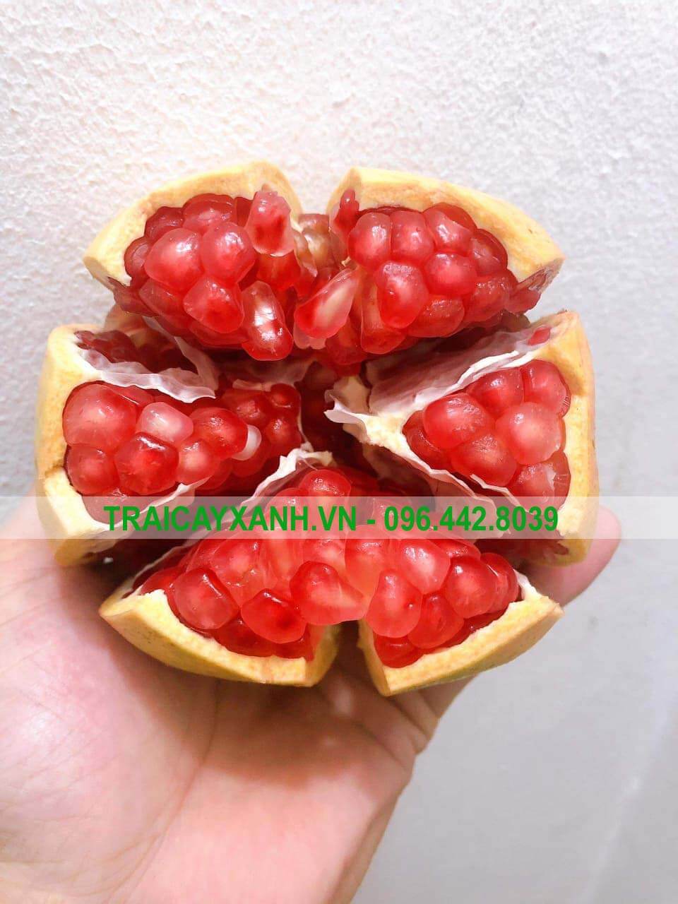 Lựu Đỏ Đài Loan (1Kg) - Ảnh 2