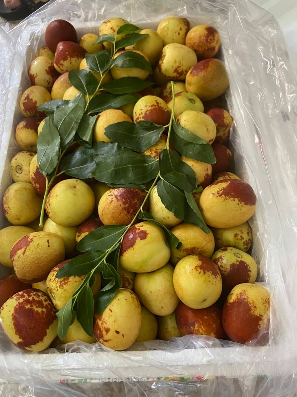 Táo Tàu Tươi (1Kg) - Ảnh 3