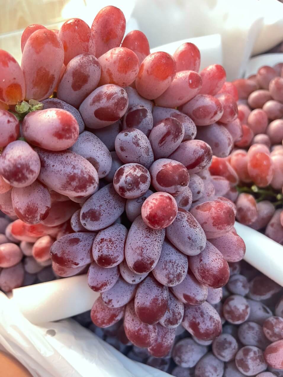 Nho đỏ Long Crimson (1Kg)