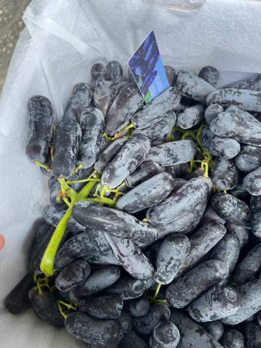 Nho Ngón Tay Nam Phi (1Kg) - Ảnh 2
