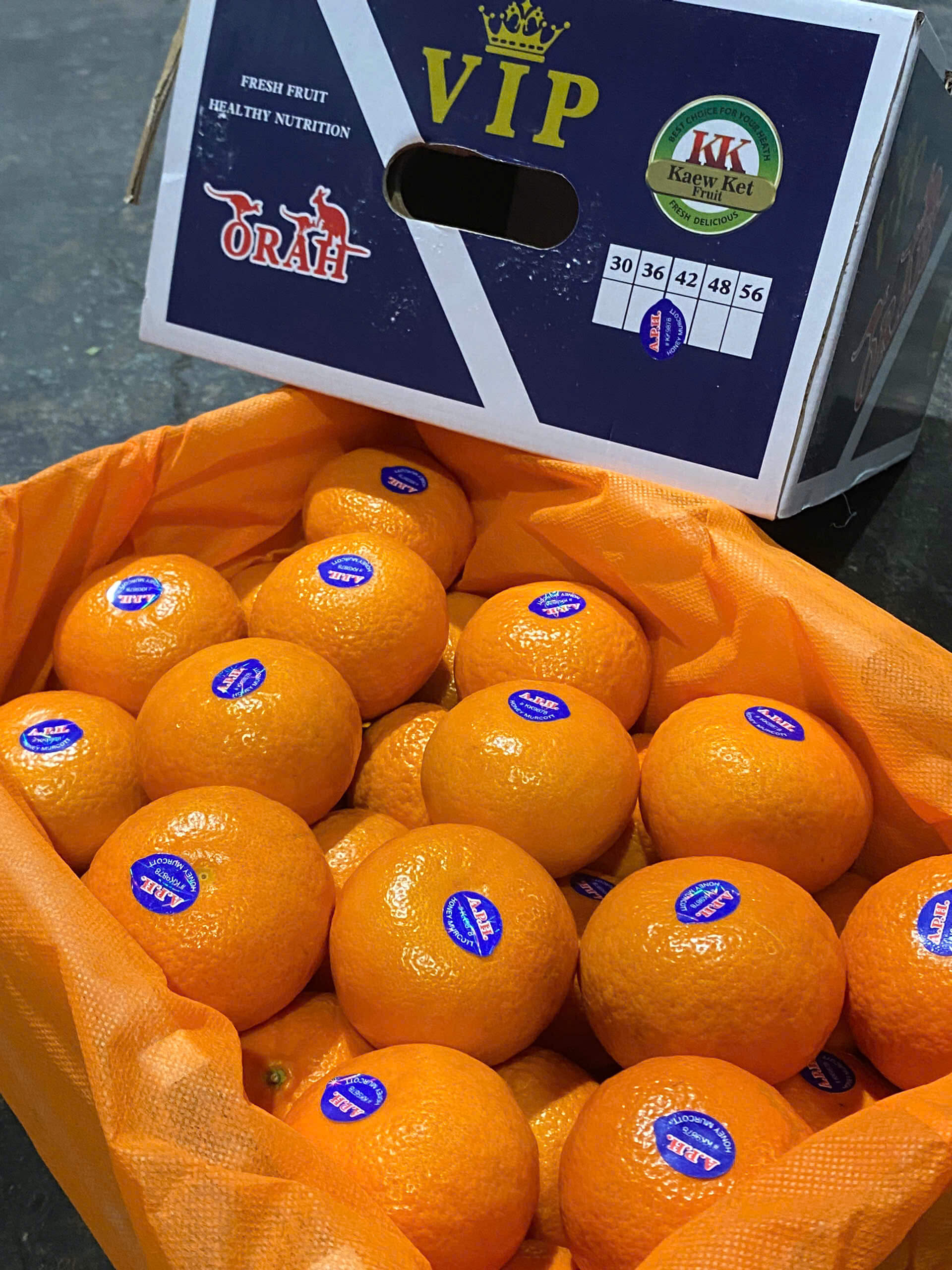 Quýt Úc A.P.H (1Kg) - Ảnh 7