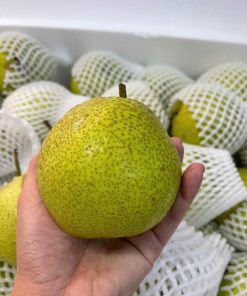 Lê Hà Giang (1Kg)