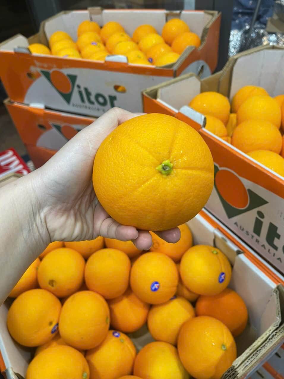 Cam Vàng Úc Vitor (1Kg) - Ảnh 4