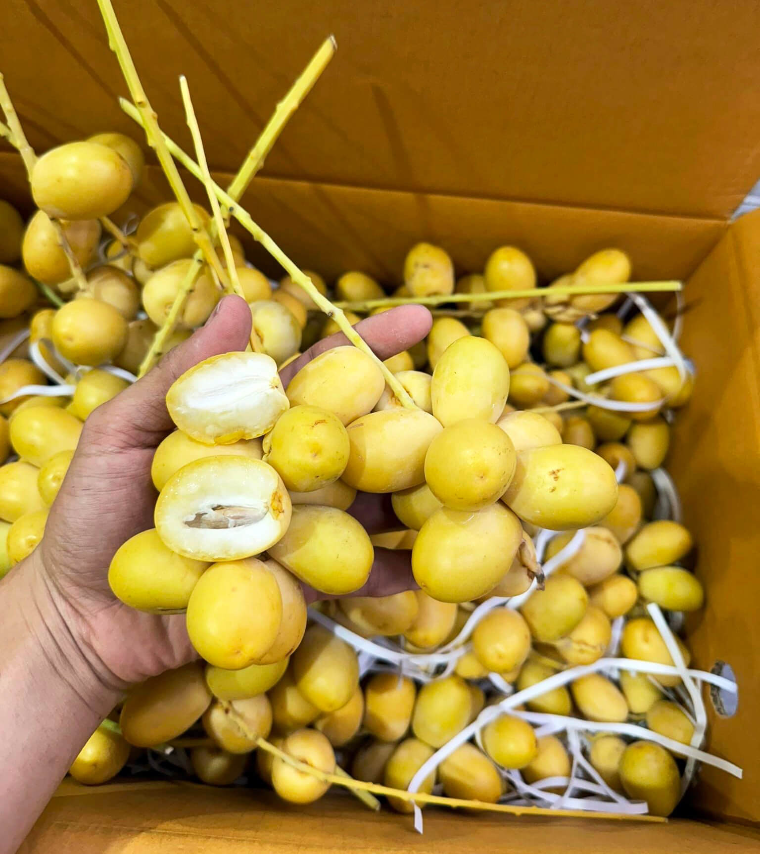 Chà là tươi nguyên cành (1Kg) - Ảnh 4