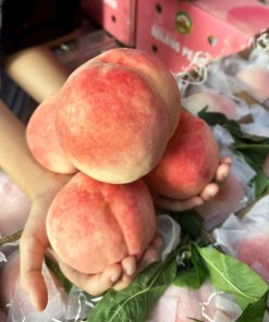 Alternative view of Đào tuyết Lệ Giang (1Kg)