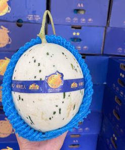 Dưa sữa Nhật (1Kg)