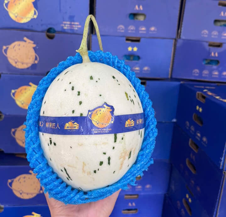 Dưa sữa Nhật (1Kg)