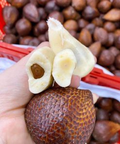 Alternative view of Mây Indonesia – Quả da rắn (1Kg)