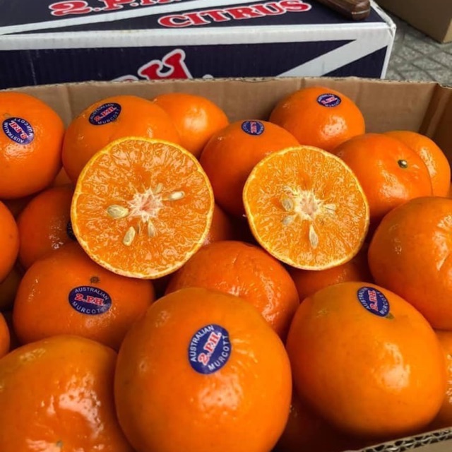 Quýt Úc A.P.H (1Kg) - Ảnh 3