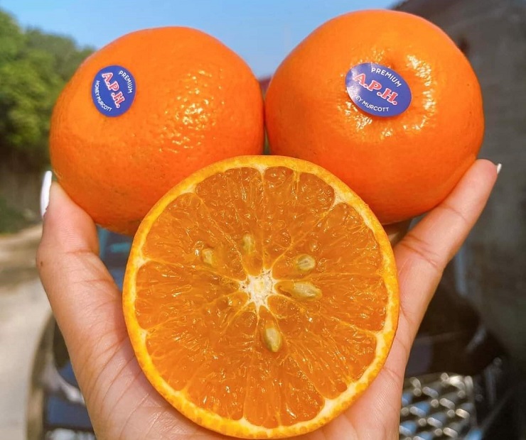 Quýt Úc A.P.H (1Kg) - Ảnh 2