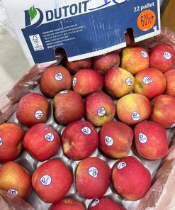 Alternative view of Táo Fuji Red Dutoit Nam Phi (1Kg)