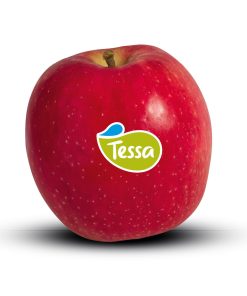 Táo Tessa Hà Lan (1Kg)