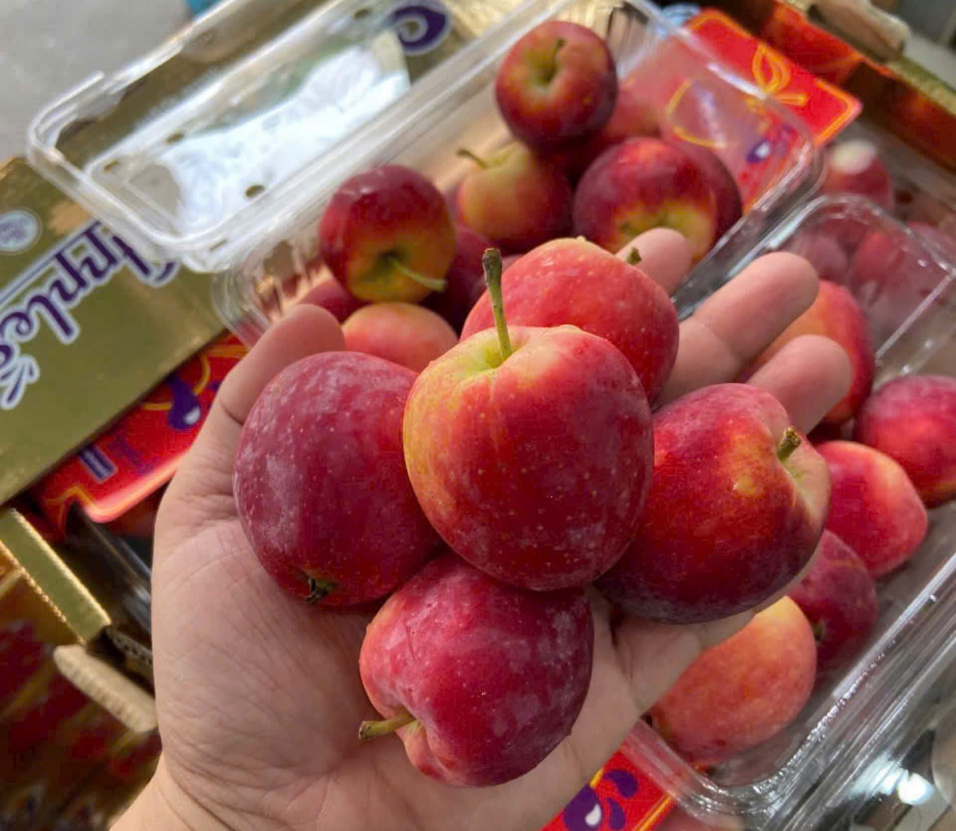 Táo Cherry/ Mini Hàn Quốc (Hộp 500gr)