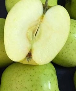 Táo Orin Nhật Bản (1Kg)