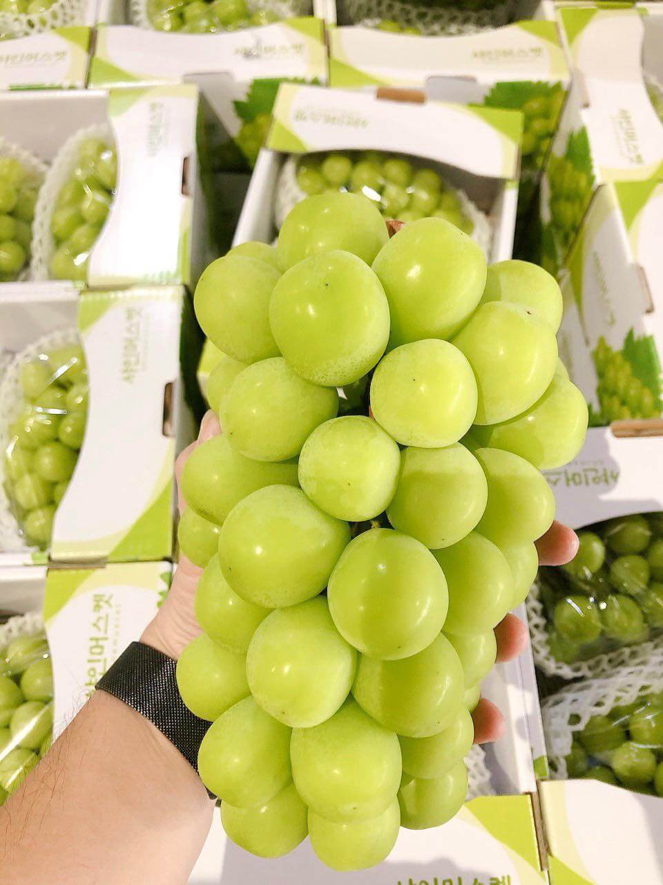 Nho mẫu đơn Hàn Quốc – Hộp 800gr - Ảnh 5