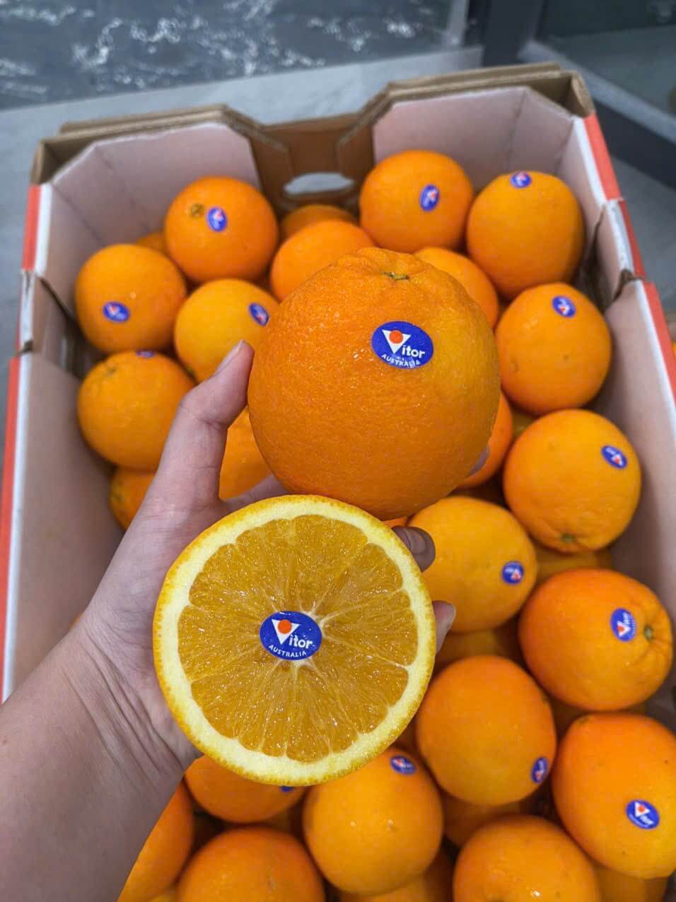 Cam Vàng Úc Vitor (1Kg) - Ảnh 2