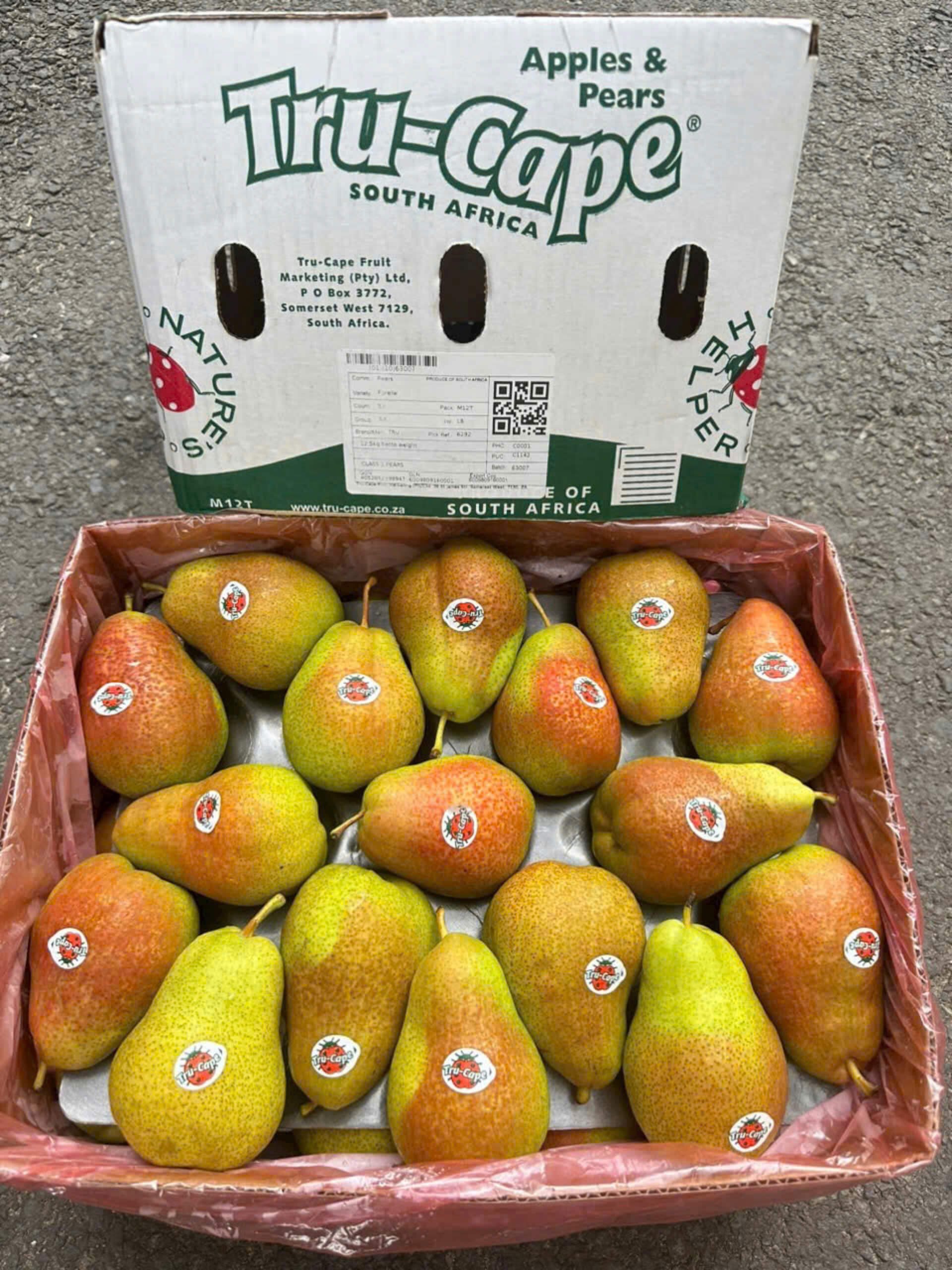 Lê Nam Phi Tru-Cape (1Kg) - Ảnh 3