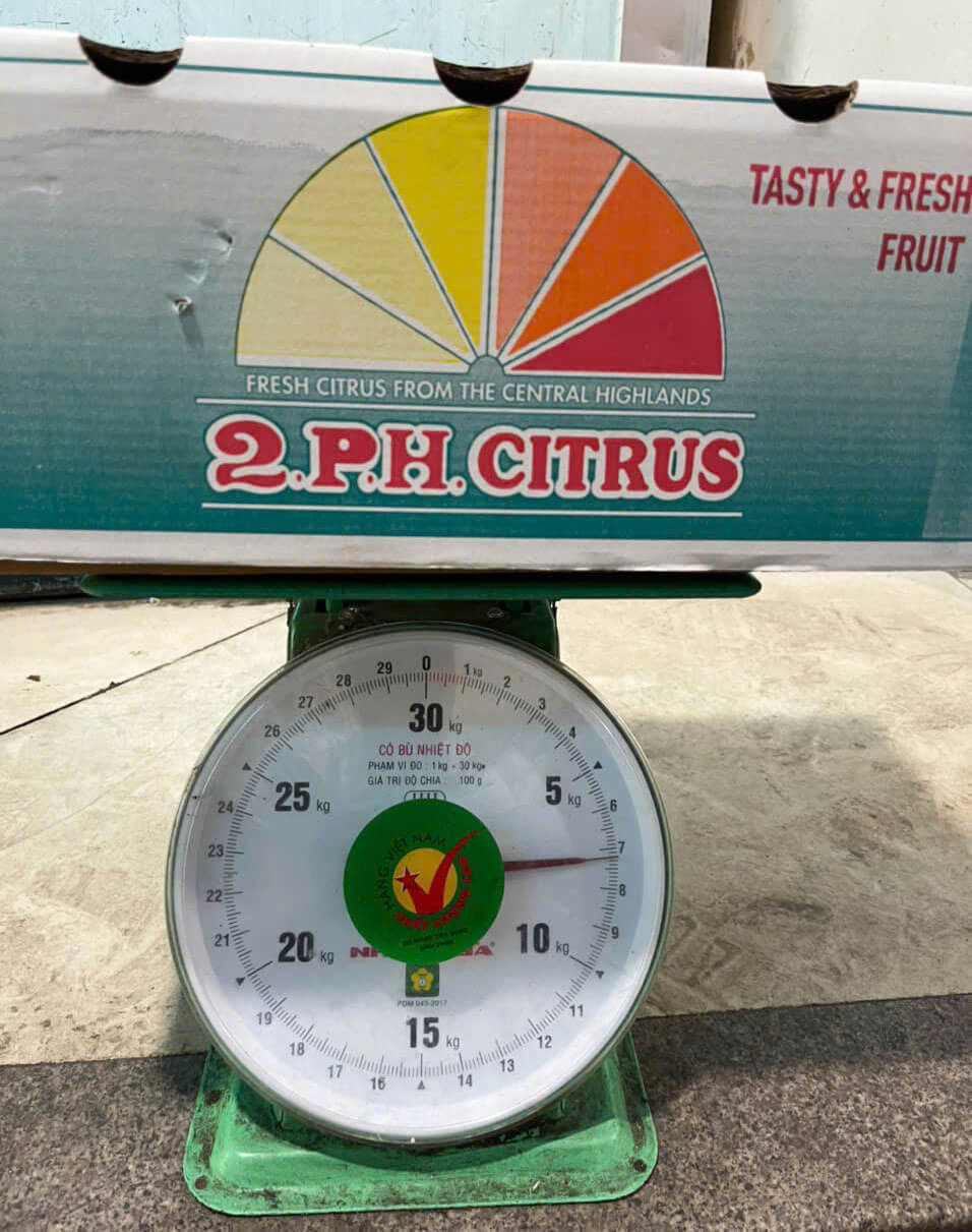 Quýt Úc 2PH (1Kg) - Ảnh 2