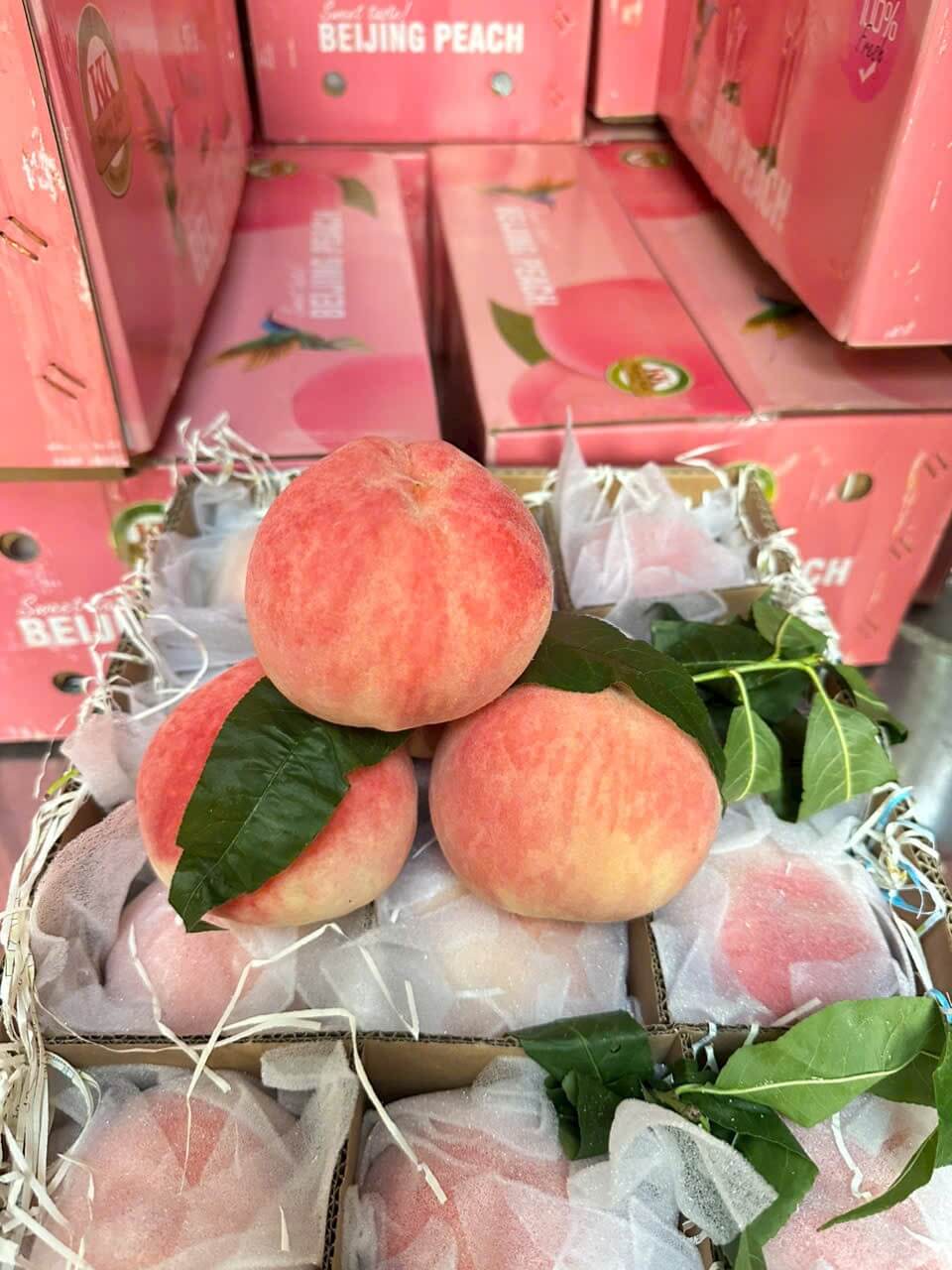 Đào tuyết Lệ Giang (1Kg) - Ảnh 3