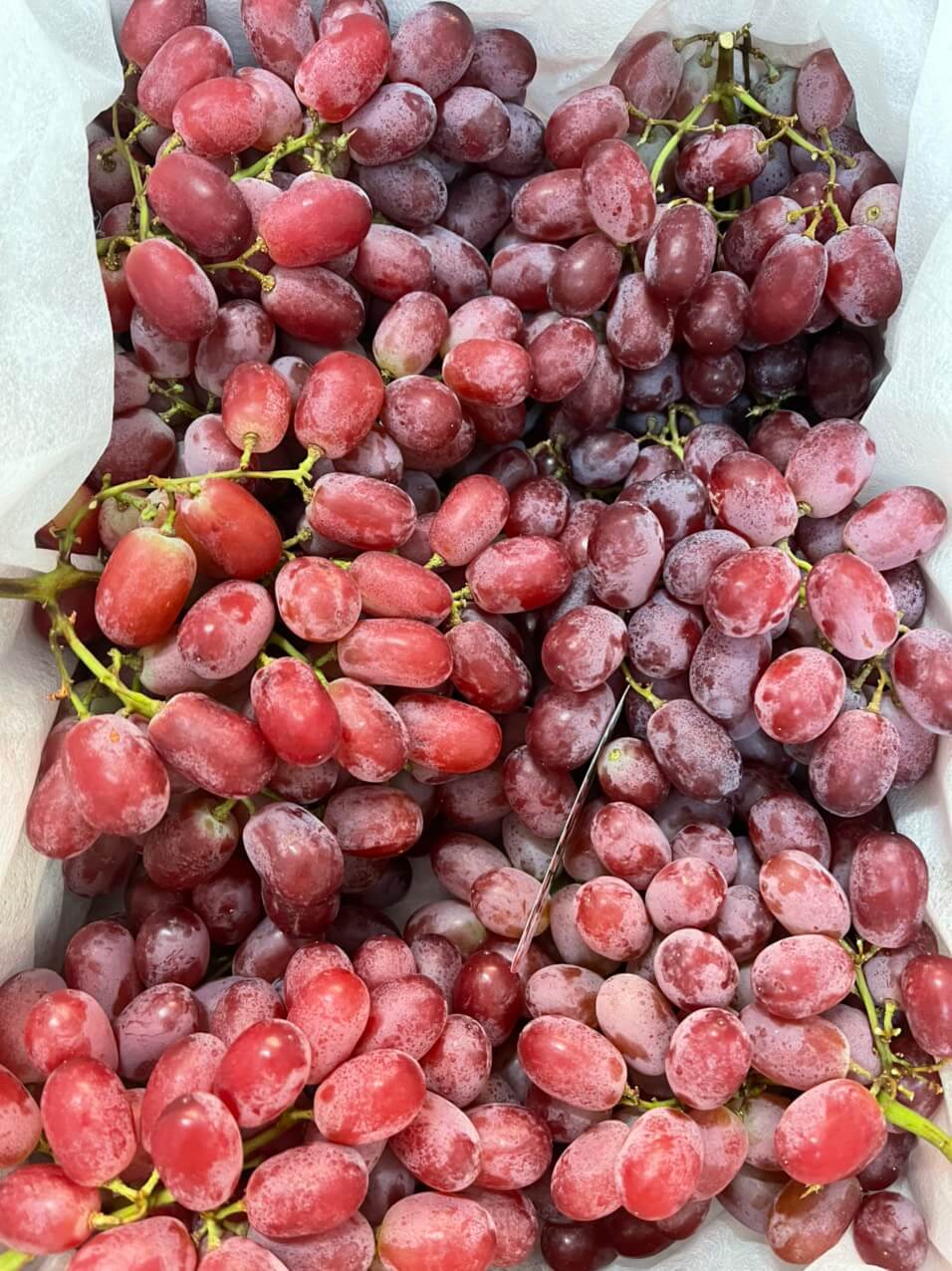 Nho đỏ không hạt Mỹ (1Kg) - Ảnh 2
