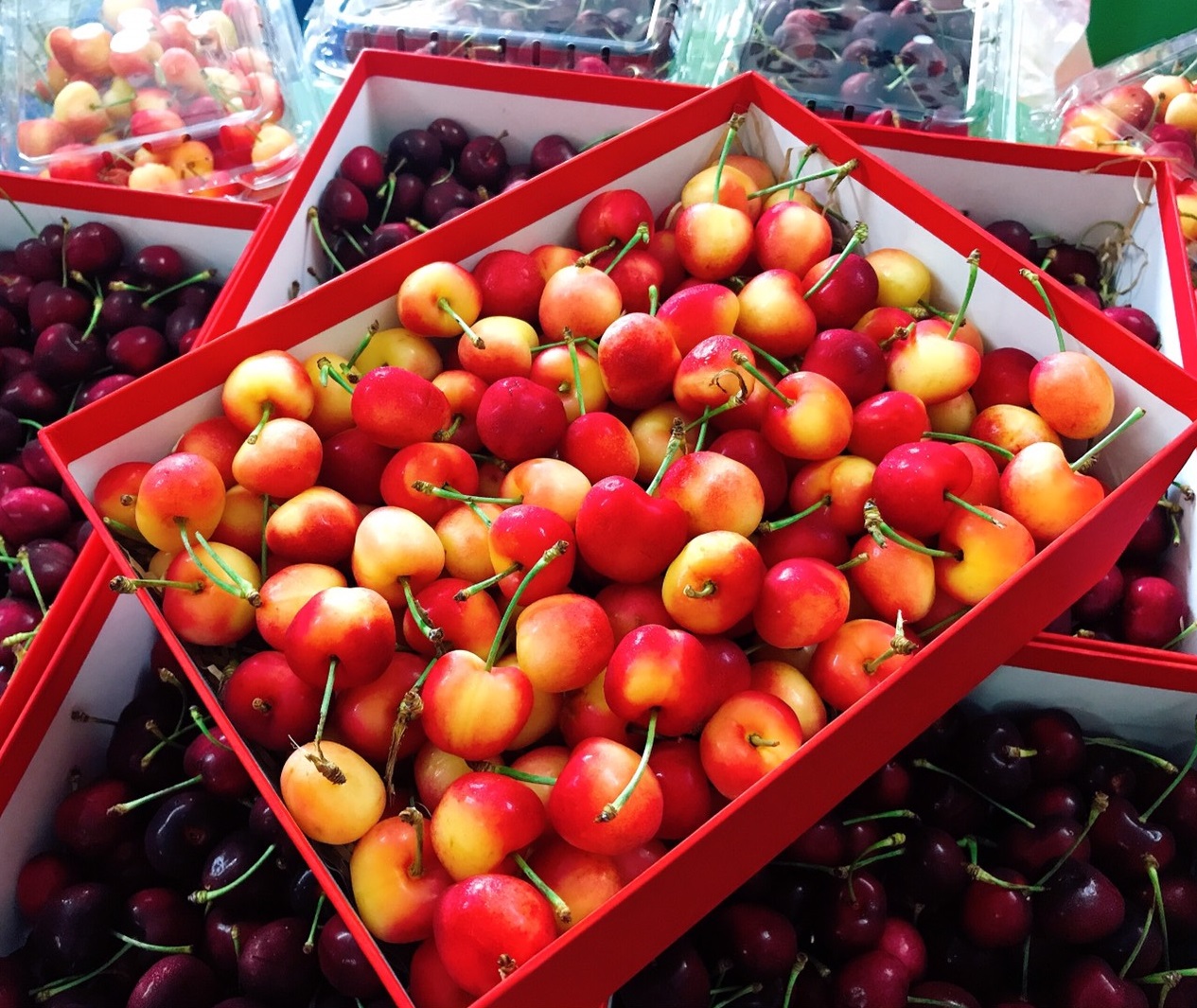 Cherry Vàng Mỹ (1Kg) - Ảnh 3