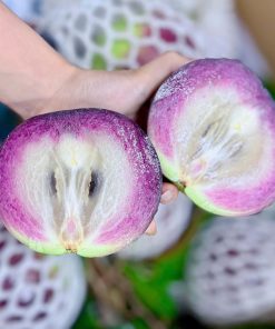 Vú Sữa nâu Bắc Thảo (1Kg)