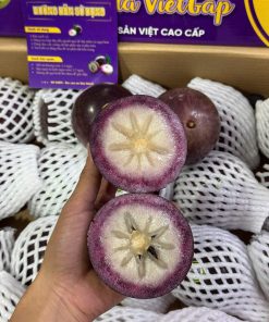 Vú Sữa Bắc Thảo (1Kg)