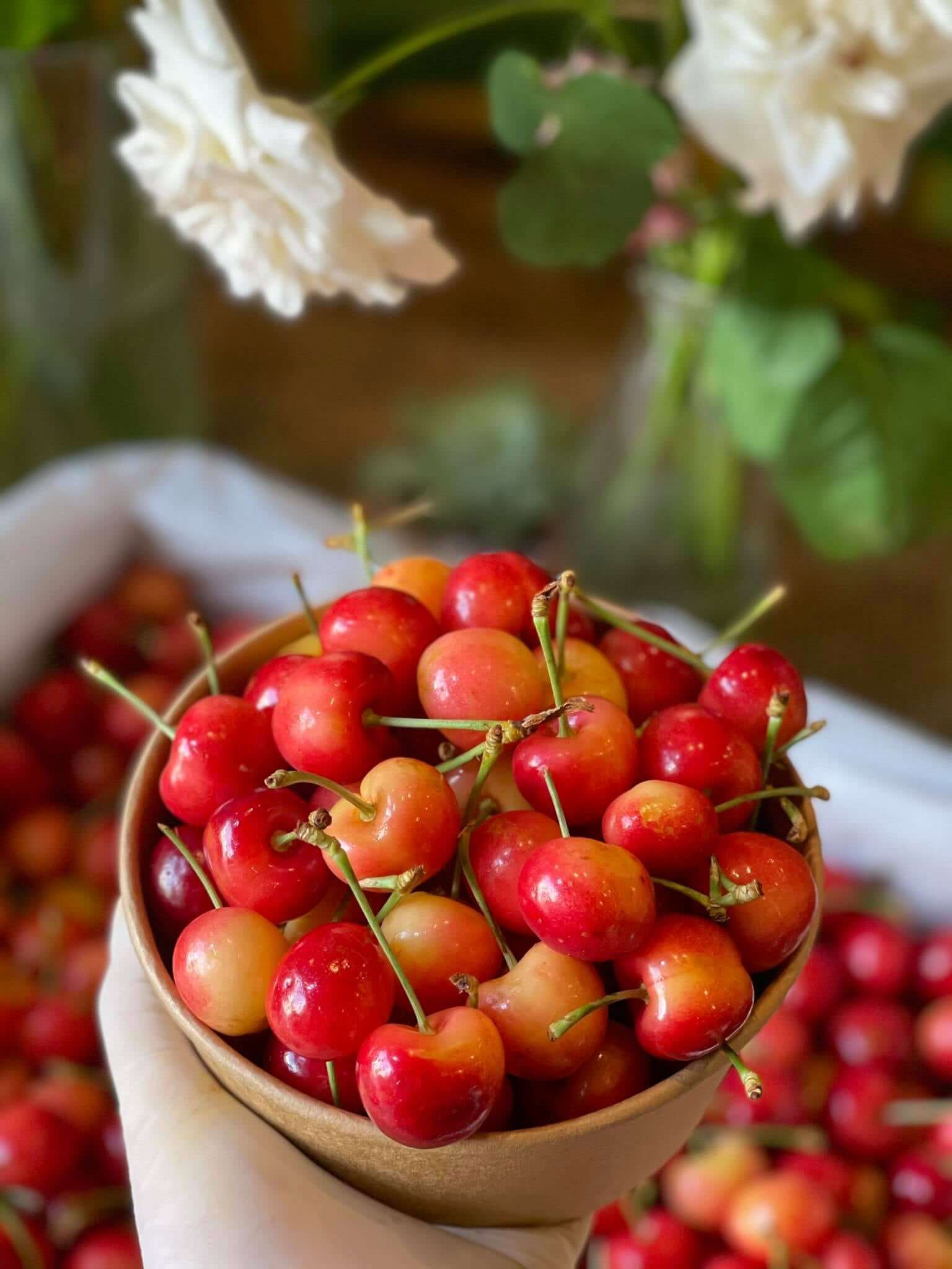 Cherry Vàng Mỹ (1Kg) - Ảnh 2