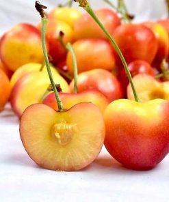 Cherry Vàng Mỹ (1Kg)
