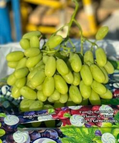 Nho Xanh Sugar Drop Pretty Lady Mỹ (1KG)
