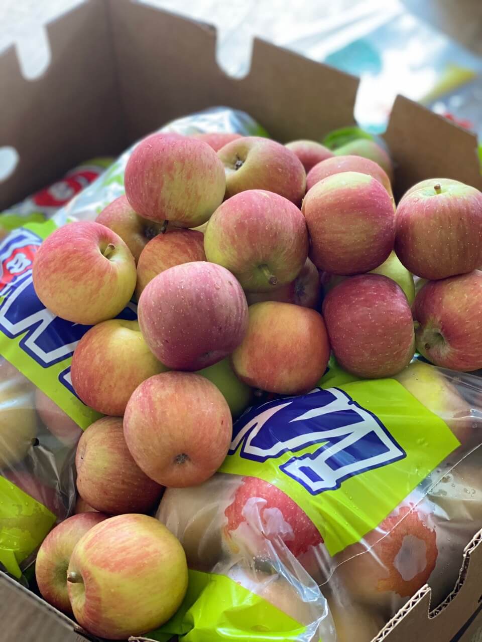Táo túi Nam Phi WoW (Túi 3Kg)